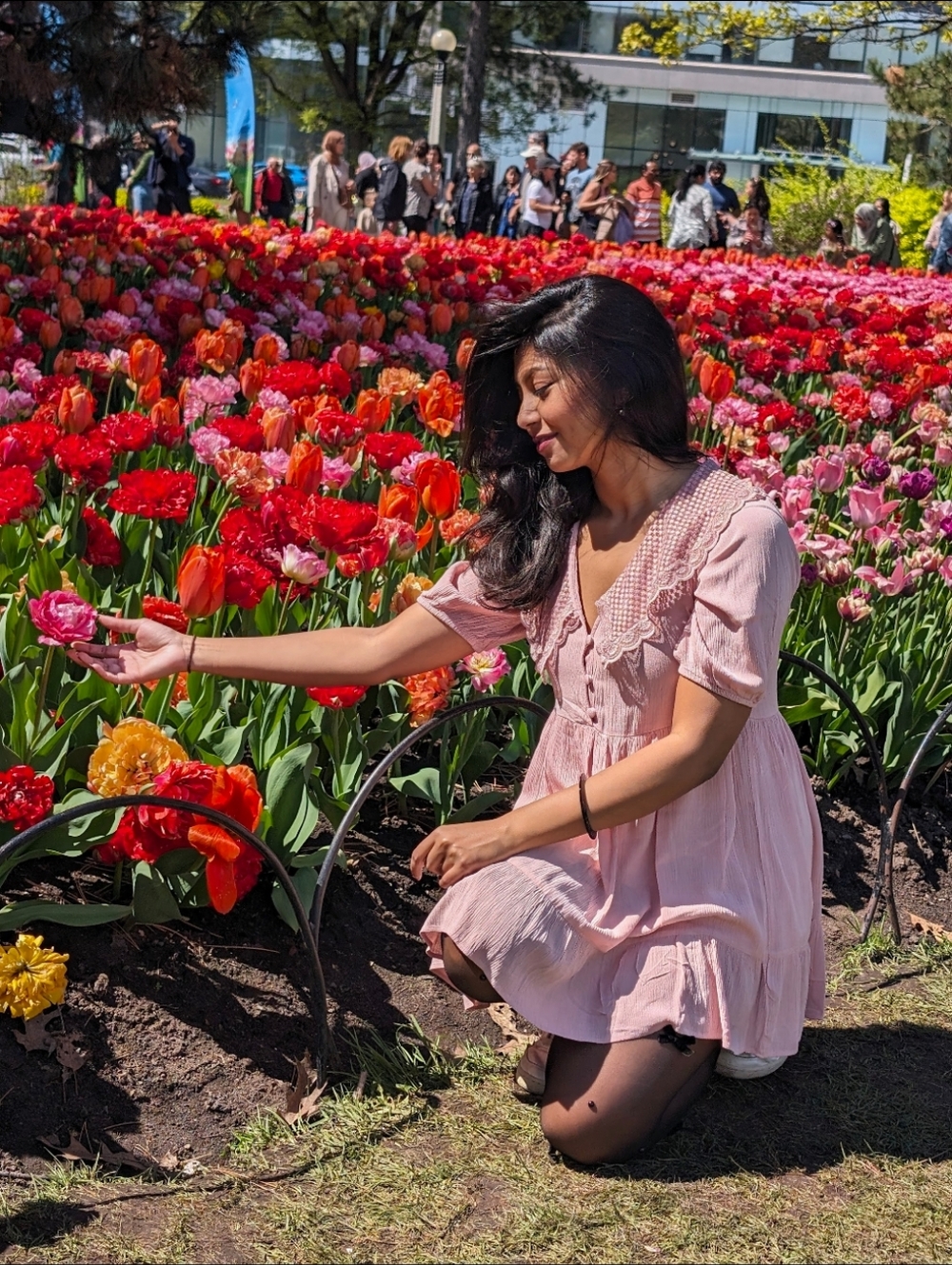 Soft Pink Lace Collar Button-Front Babydoll Dress